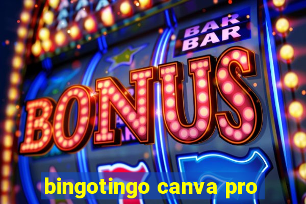 bingotingo canva pro